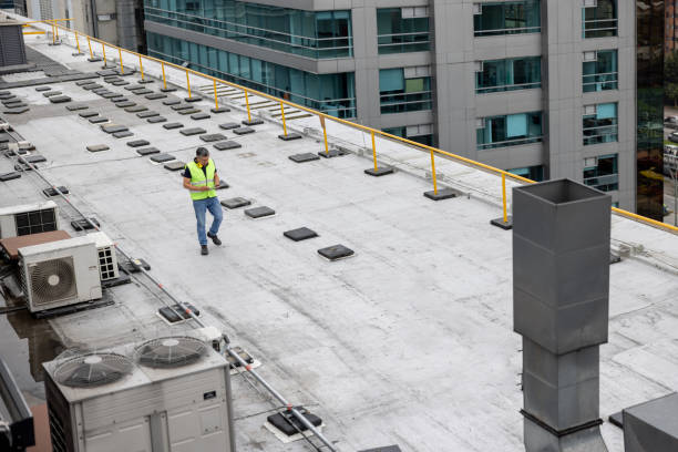 Best Roof Moss and Algae Removal  in Loveland Park, OH