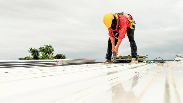Best Skylight Installation and Repair  in Loveland Park, OH