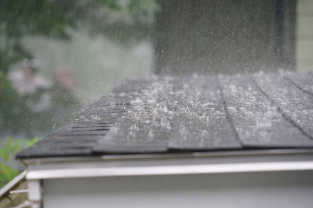 Best Gutter Installation and Repair  in Loveland Park, OH