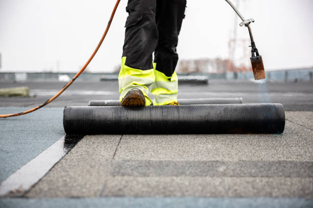 Best Asphalt Shingles Roofing  in Loveland Park, OH