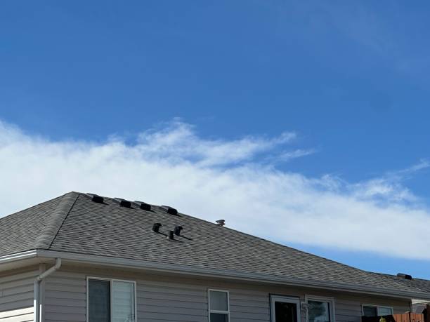 Best Gutter Installation and Repair  in Loveland Park, OH